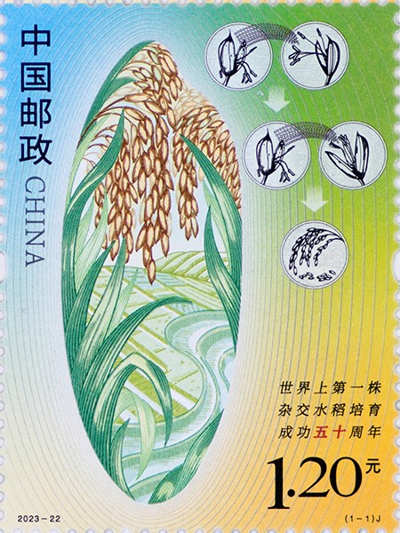 《世界上第一株杂交水稻培育成功五十周年》纪念邮票